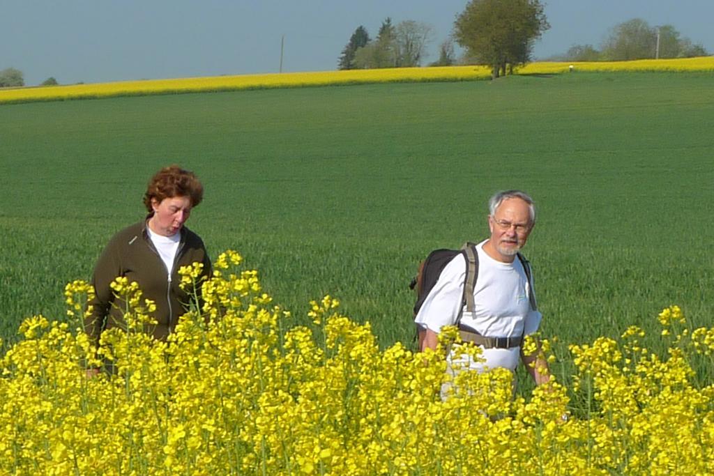 La Petite Varenne Turny Kültér fotó